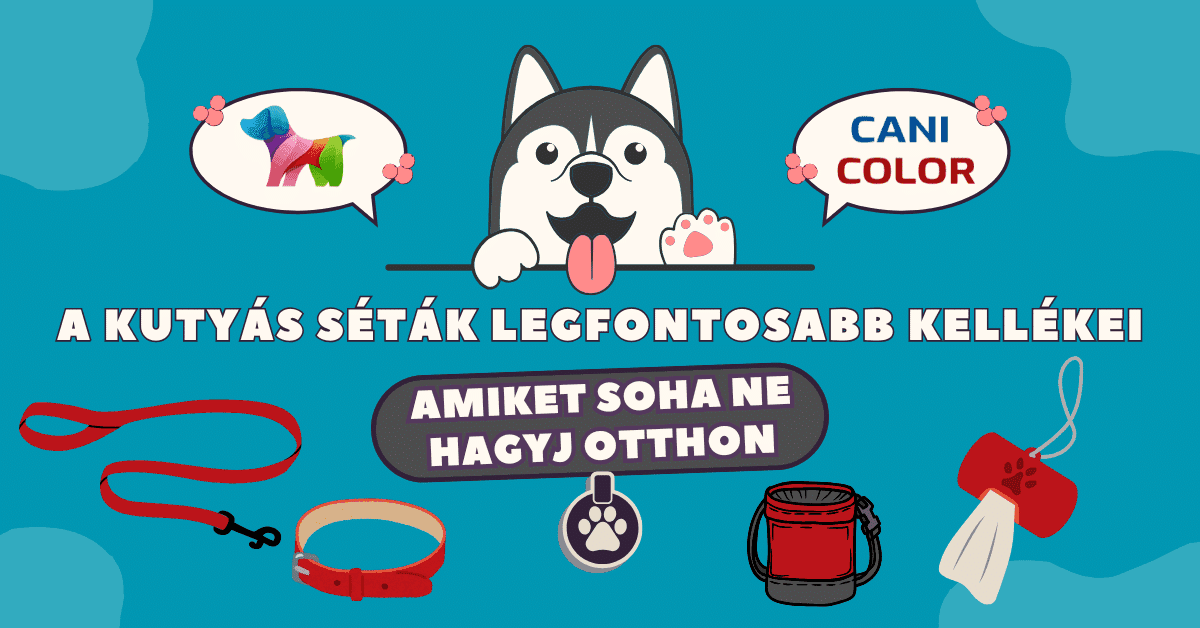 a kutyás séták legfontosabb kellékei: amiket soha ne hagyj otthon